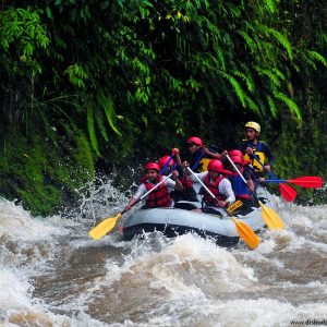 Paket Arung Jeram Sungai Alas 2D1N