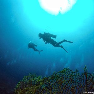 Paket Sabang Diving 2D1N