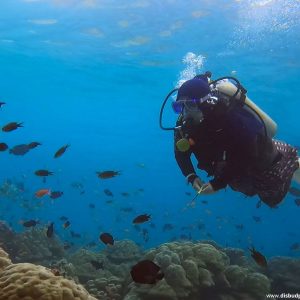 Paket Sabang Snorkeling 2D1N