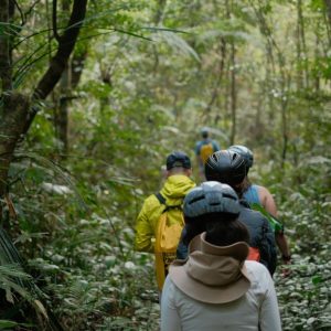 Paket Jungle Trekking Leuser 2D1N